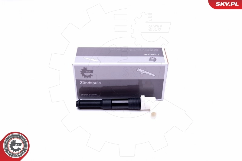 Ignition Coil